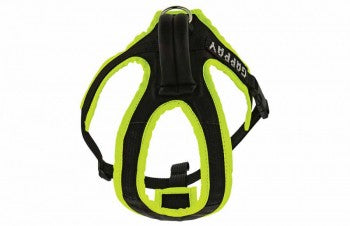 Gappay Puppy Harness