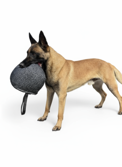 Pro K9 Large Ball French Linen