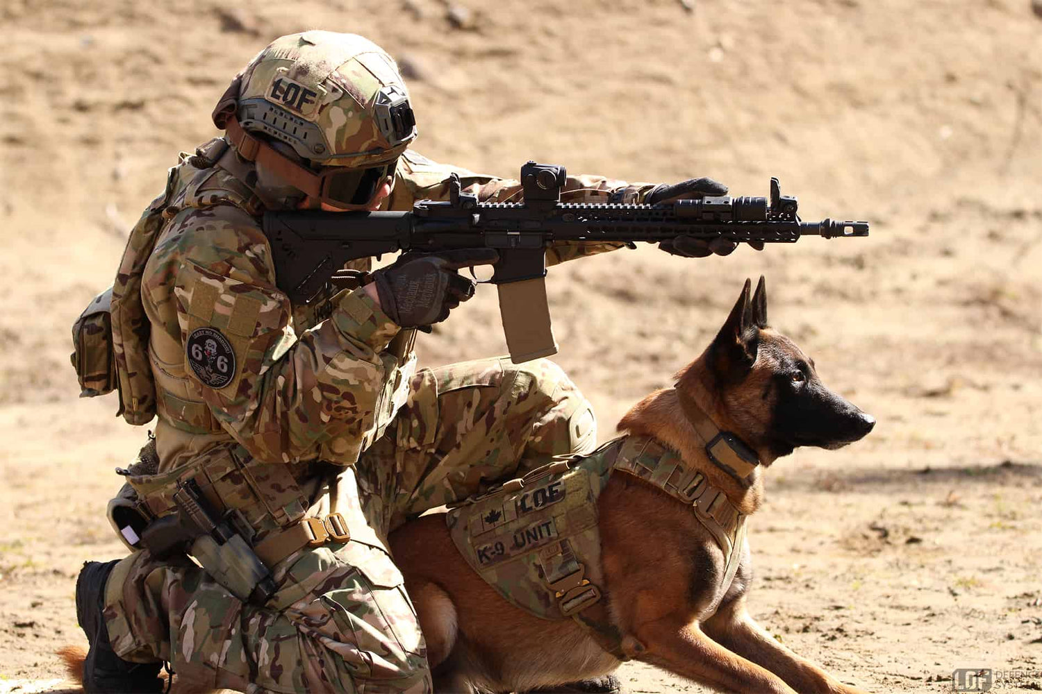 Tactical Service Dog Equipment