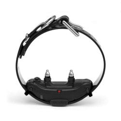 Dogtra ARC Remote Training System