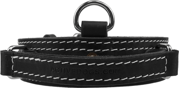 Leather Collar with Flat Handle 2" Made in USA Mil Spec