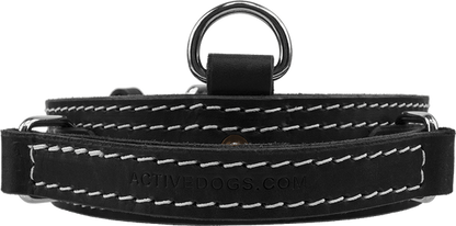 Leather Collar with Flat Handle 2" Made in USA Mil Spec