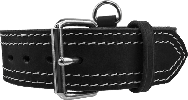 Leather Collar with Flat Handle 2" Made in USA Mil Spec