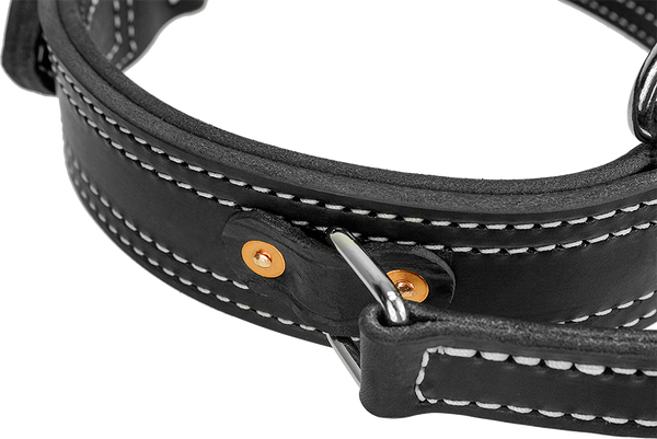 Leather Collar with Flat Handle 2" Made in USA Mil Spec
