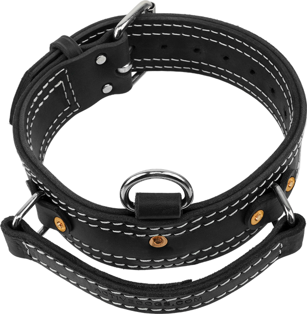 Leather Collar with Flat Handle 2" Made in USA Mil Spec