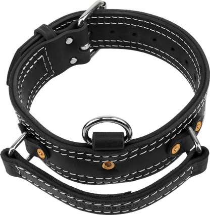 Leather Collar with Flat Handle 2" Made in USA Mil Spec
