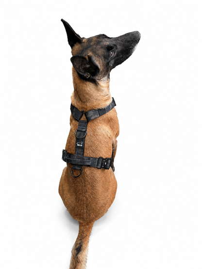 Multifunction Harness - Agitation, Tracking & Anti pull option