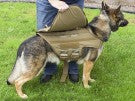CaliberDog Stab & Bullet Vest Panel