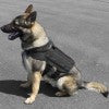 CaliberDog MOLLE Cape Harness Coyote Black Large 32-39"