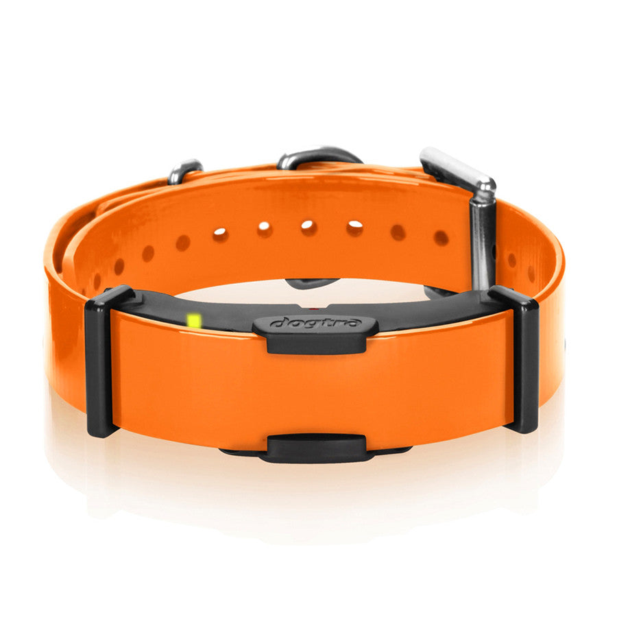 Dogtra Arc Additional Collar