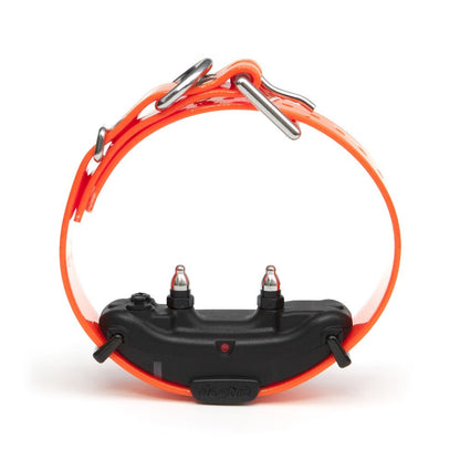 Dogtra Arc Additional Collar
