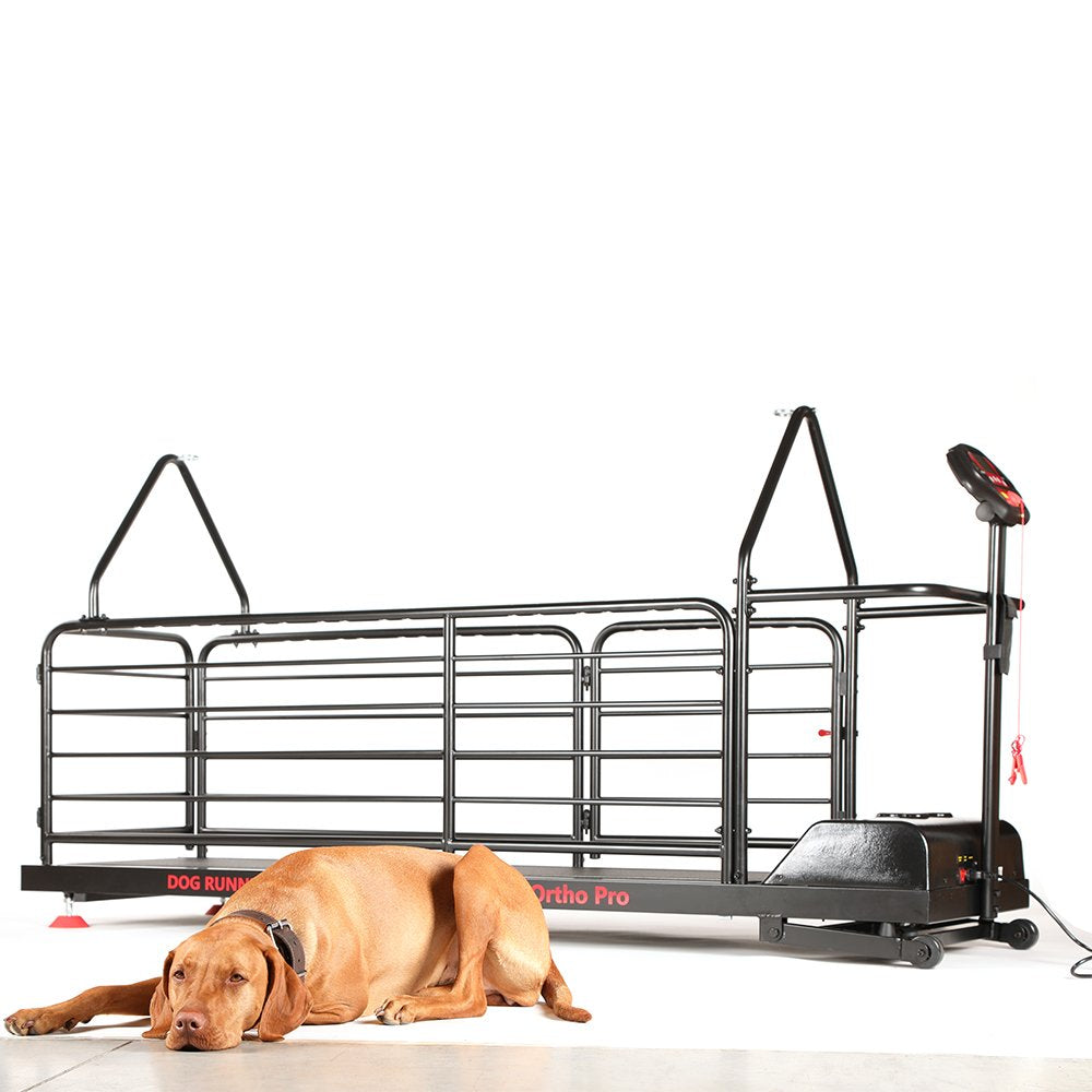 Dog Runner Ortho Pro