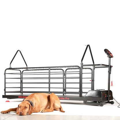 Dog Runner Ortho Pro