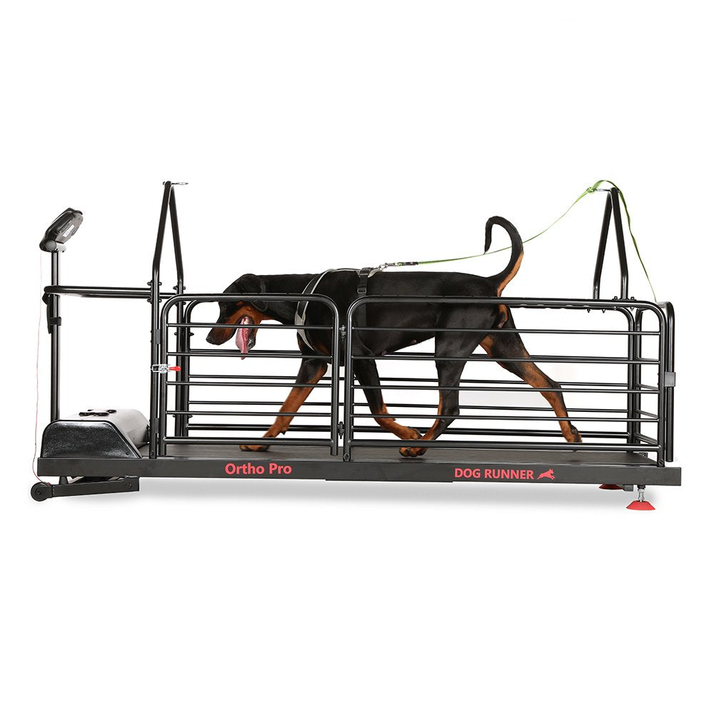 Dog Runner Ortho Pro