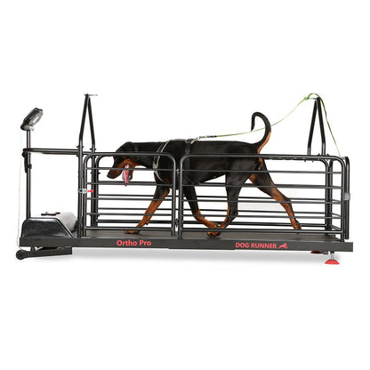 Dog Runner Ortho Pro