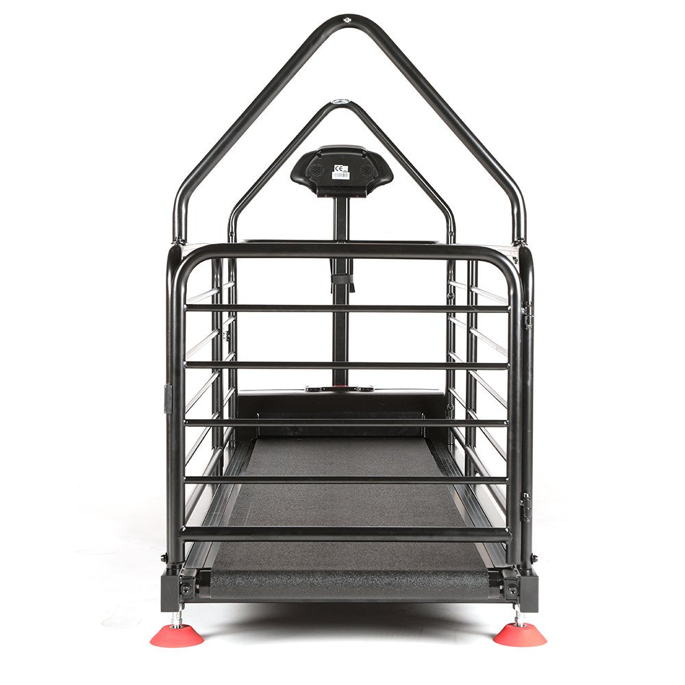 Dog Runner Ortho Pro