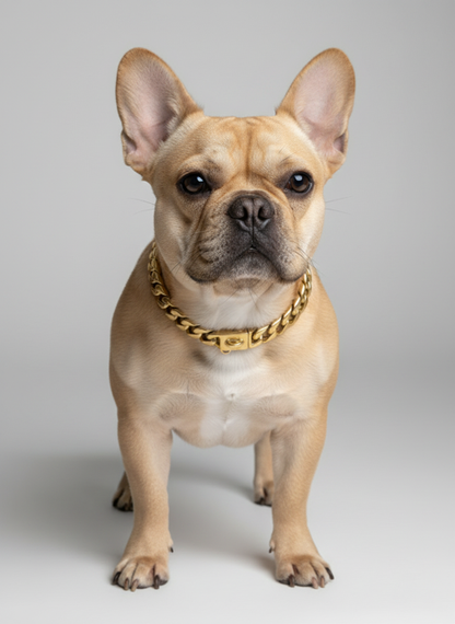 Pro K9 Luxe Gold SMALL DOG Cuban Link Collar 15mm wide