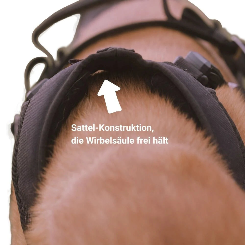 IQ Performance Pro - Cobra Harness