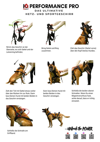 IQ Performance Pro - Cobra Harness