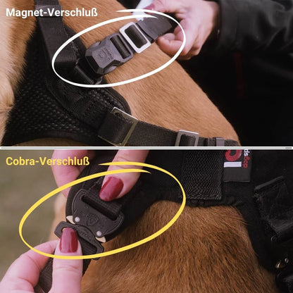 IQ Performance Pro - Cobra Harness