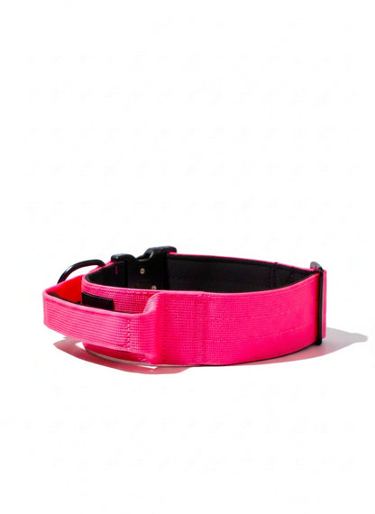 Tactical Collar Pro K9