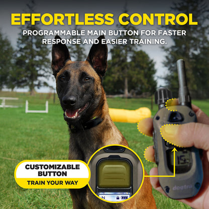 Dogtra ARC-X Remote Training System