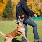 Top- Matic Magnetic Training Set