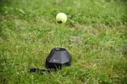 Dog Trace Dog Trace Electronic d ball up