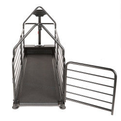 Dog Runner Revolution Pro