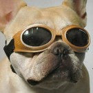 Doggles Originalz