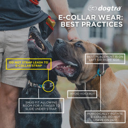 Dogtra 280X Remote Training Collar