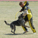 Gappay Champion Scratch Pants