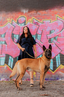 Pro K9 Luxe Gold & Tungsten Cuban Link Collar