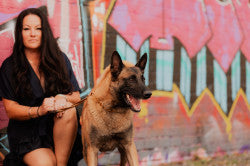 Pro K9 Luxe Gold & Tungsten Cuban Link Collar