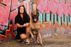 Pro K9 Luxe Gold & Tungsten Cuban Link Collar