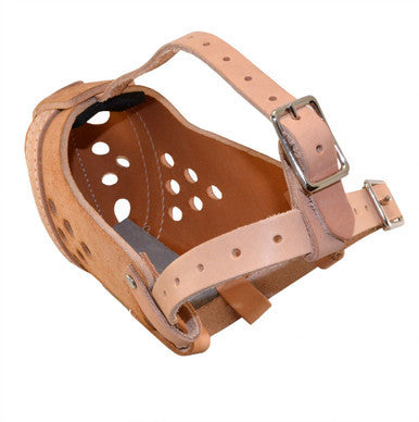 Ray Allen Original RAM Leather Agitation Muzzle BLACK & TAN