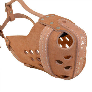 Ray Allen Original RAM Leather Agitation Muzzle BLACK & TAN