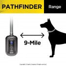 Dogtra Pathfinder 2