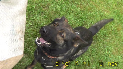 Gappay Sleeve Fox soft gussett