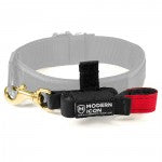 Modern Icon Rapid Deployment Lead