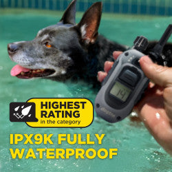 Dogtra 280X Remote Training Collar