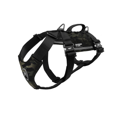 Modern Icon Tracking Harness