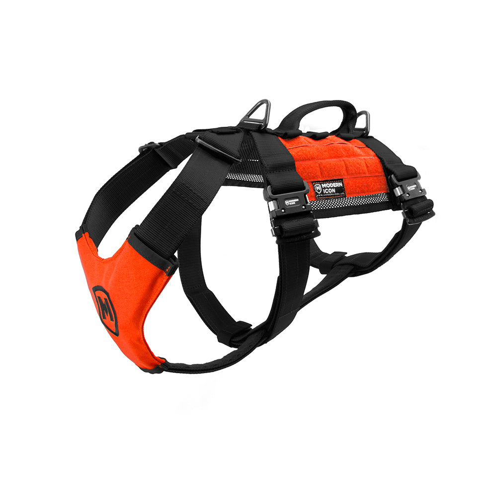 Modern Icon Tracking Harness