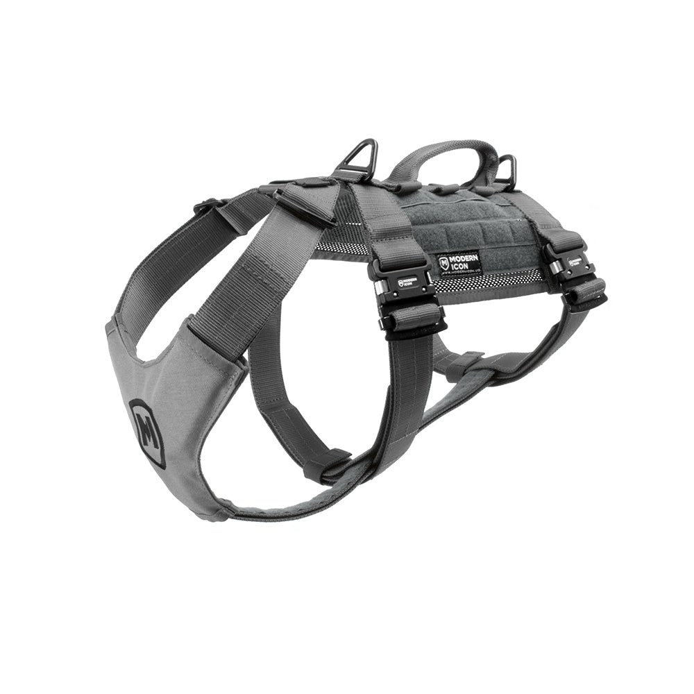 Modern Icon Tracking Harness