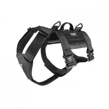 Modern Icon Tracking Harness