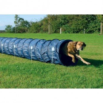 Agility Training Tunnel