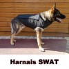 Morin SPECIAL SWAT Harness