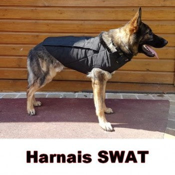 Morin SPECIAL SWAT Harness