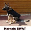 Morin SPECIAL SWAT Harness
