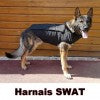 Morin SPECIAL SWAT Harness